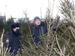 Операция "Ель"