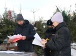 Операция "Ель"