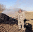 Задержан ещё один поджигатель - Газета Красное Знамя