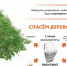 «Сдай макулатуру – спаси дерево!» - Газета Красное Знамя