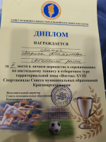 Достойно представили территорию