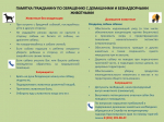 Памятка для граждан по обращению с домашними и безнадзорными животными