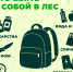 В Красноярском крае начался сезон сбора грибов и ягод — уже зафиксированы первые случаи заблудившихся в лесу - Абанский район