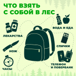 В Красноярском крае начался сезон сбора грибов и ягод — уже зафиксированы первые случаи заблудившихся в лесу