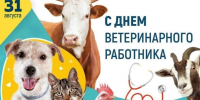 Уважаемые работники и ветераны ветеринарной службы Абанского района! От всей души поздравляем вас с профессиональным праздником – Днём ветеринарного работника! - Абанский район