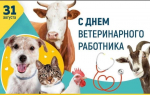 Уважаемые работники и ветераны ветеринарной службы Абанского района! От всей души поздравляем вас с профессиональным праздником – Днём ветеринарного работника!