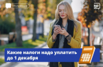 ФНС направила уведомления об уплате налогов за 2024 год