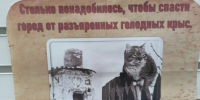 27 января - 82 года со дня полного освобождения Ленинграда от фашистской блокады - Газета Красное Знамя