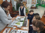 В Красноярском крае за пять лет в три раза сократилось число лесных пожаров, возникших по вине людей