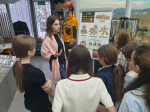 В Красноярском крае за пять лет в три раза сократилось число лесных пожаров, возникших по вине людей