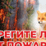Лесным пожарам - нет - Абанский район