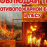 Об утверждении Правил пожарной безопасности в лесах - Абанский район