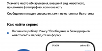 Увидели бездомное животное? Теперь о нем можно сообщить на Госуслугах за 2 минуты - Абанский район