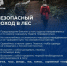 МЧС России рекомендует готовиться к походу в лес заранее, приняв меры предосторожности - Абанский район