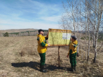 В Красноярском крае стартовал сезон противопожарного обустройства лесов