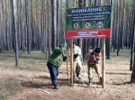 В Красноярском крае стартовал сезон противопожарного обустройства лесов