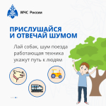 Что делать, если заблудился в лесу? Памятка