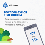 Что делать, если заблудился в лесу? Памятка