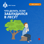 Что делать, если заблудился в лесу? Памятка