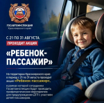 Ребёнок-пассажир: на территории края стартует профилактическая акция