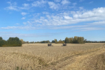 Аграрии района продолжают уборочную кампанию