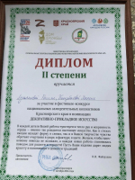 О мастерах-умельцах Абанского муниципального округа. Расима Лукьянова.
